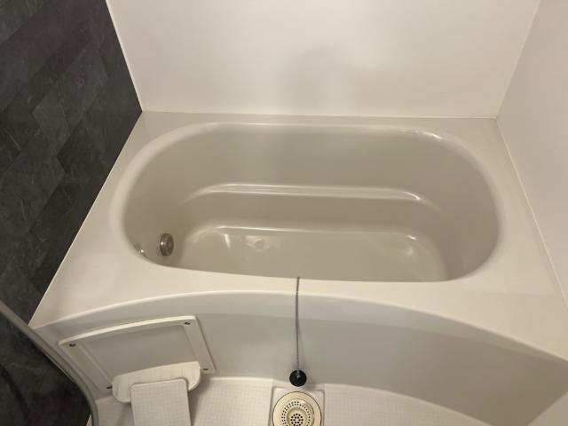 hermanaⅠ（エルマーナ）　の浴室|バス