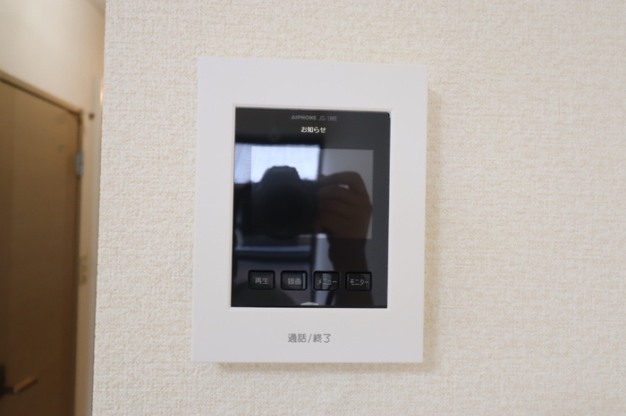 ヴェルドミールのセキュリティ