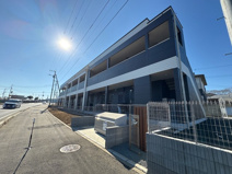 Ｏｌｉｖｅ（オリーブ）の画像