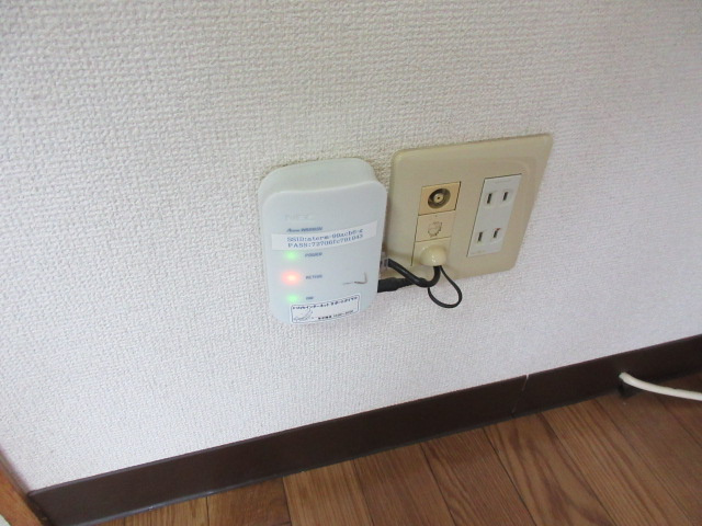 ローデハイムのその他