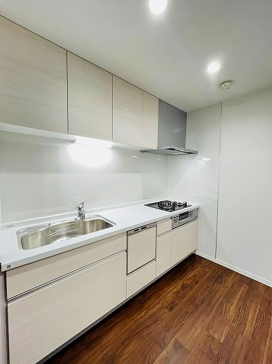 【仲介手数料無料／刈谷市】ファミール刈谷　202号室のキッチン|食器洗浄乾燥機