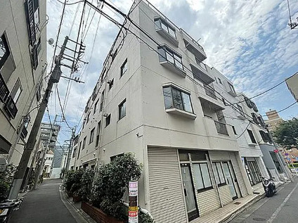 ハイネスイイダ