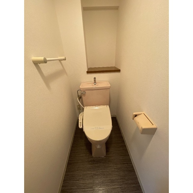 【賃貸マンション】サニーエステートのトイレ|トイレも気になるポイント