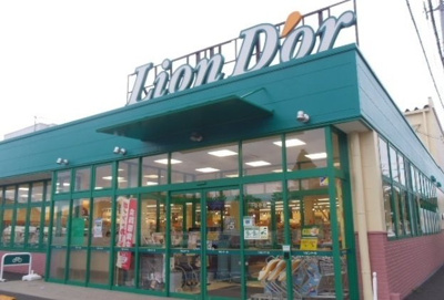 【周辺】 | サンヴェルジュ野田 | リオン・ドール南中央店まで700m