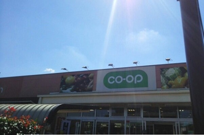 【周辺】 | トゥッティソーレ | コープとうきょう回田店まで560m