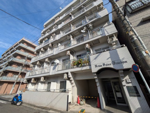 日興パレス大通り公園の画像