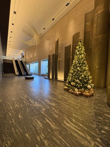 白金ザ・スカイＥ棟のエントランス