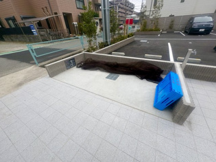 ブライトガーデン（旧：門戸厄神・M社計画新築工事）のその他物件画像