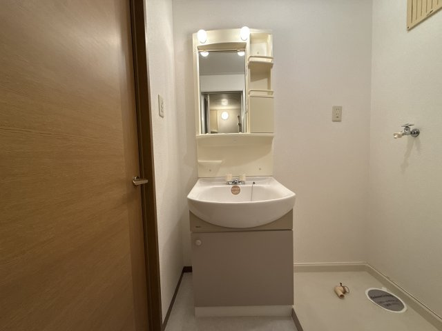 サンアベニュー田寺１の洗面所