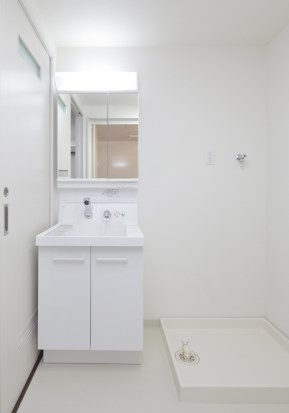 プランドール藤久の洗面所