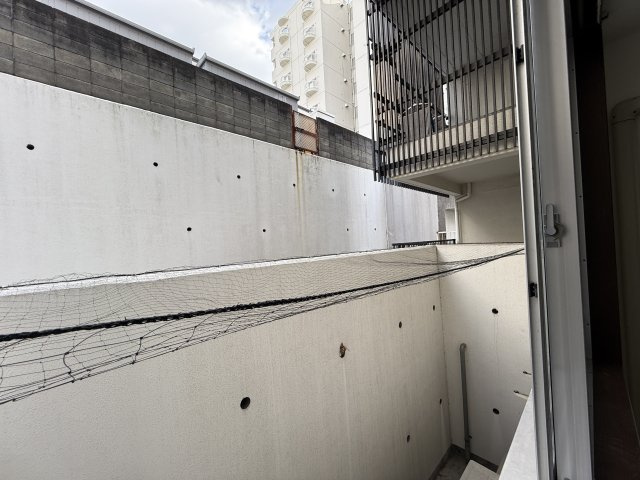 フローレス緑地公園の展望