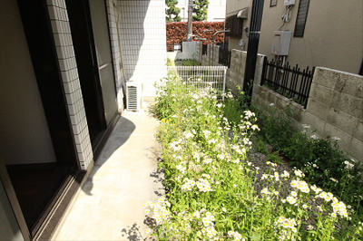 【バルコニー】 | Fコート高井戸