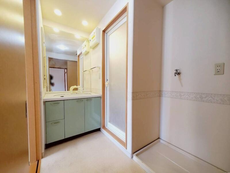 サーパス高須第3の洗面所