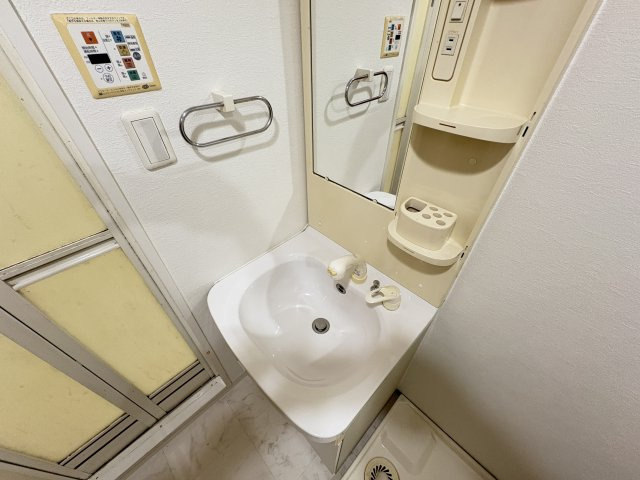 フォレストインサイドVの洗面所