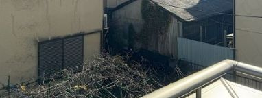 【展望】 | ブランシェ