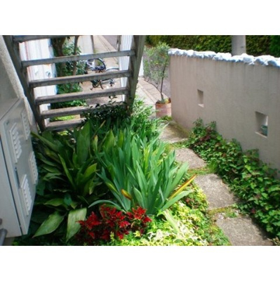 【周辺】 | ハイツ・クリザンテム