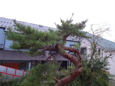 【展望】 | コーポ千代荘