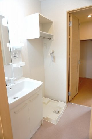 アルバ　カーサⅡの洗面所