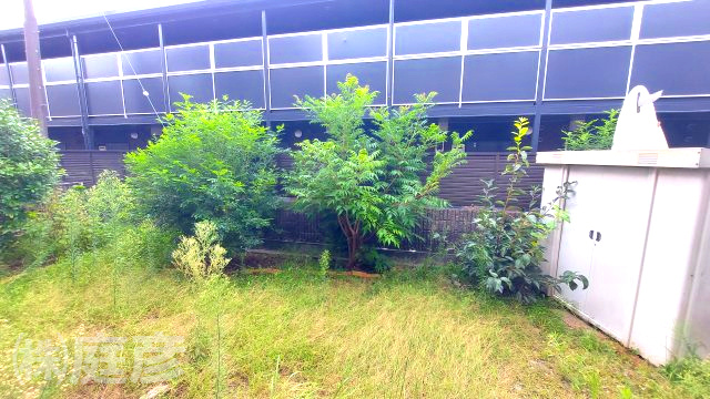 【庭】の画像