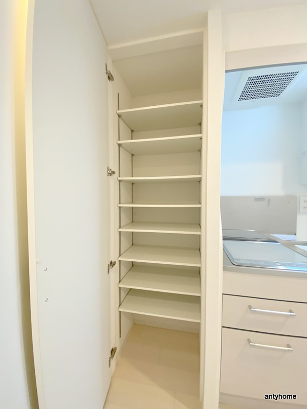 セレニテ心斎橋グランデ 仲介手数料無料の収納