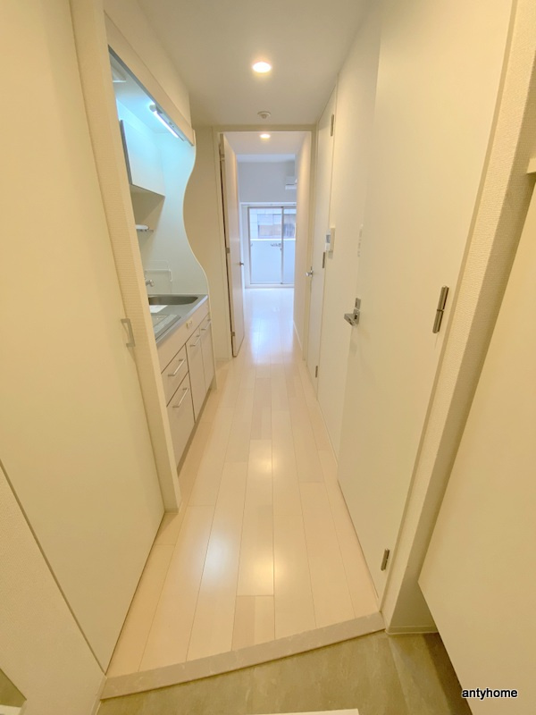 セレニテ心斎橋グランデ 仲介手数料無料の内装