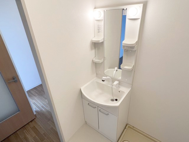 リビング清水町の洗面所