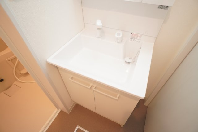 ジーメゾンあやめ池エルシアスの洗面所