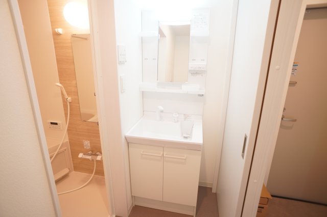 ジーメゾンあやめ池エルシアスの洗面所