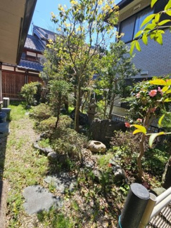【庭】 | 落ち着いた雰囲気の住宅街にあるお家 | 落ち着いた雰囲気のお庭があります