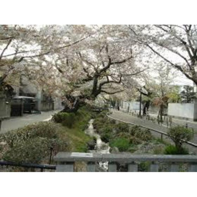 【周辺】 | カーサＳ・Ｋ | 公園「北沢川緑道まで671ｍ」