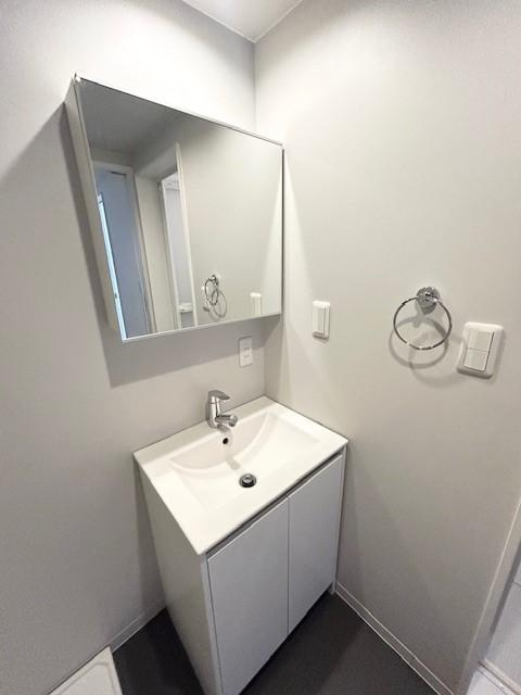 アオアクア稲上町の洗面所