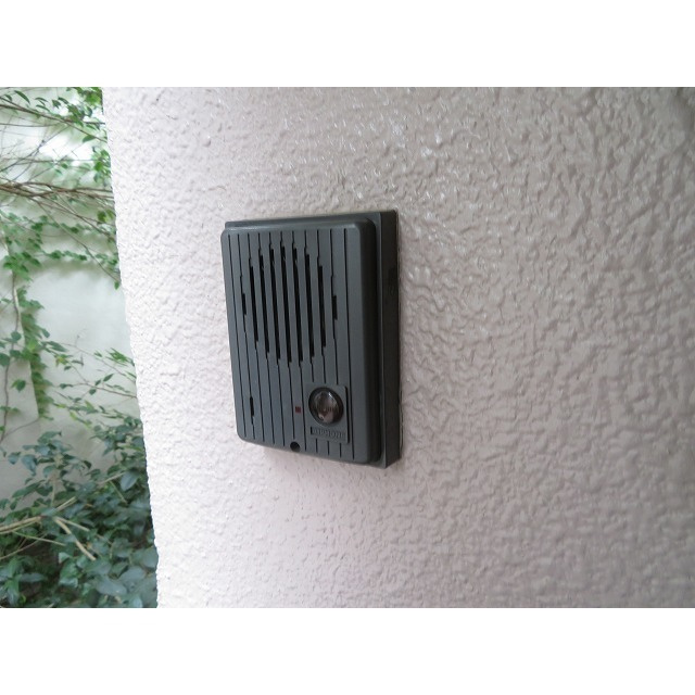 ＳａＫｕＲａ館の内装