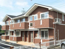 セレッソの画像