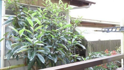 【展望】 | Y’s向ヶ丘