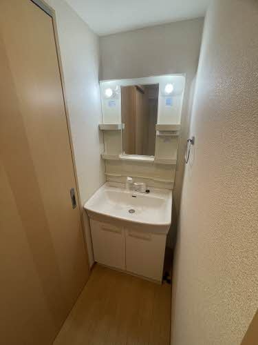 リーベンルミエールの洗面所