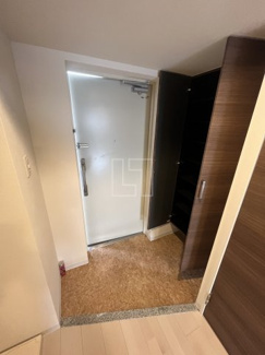 【玄関】 | Luxe難波西Ⅲ | Luxe難波西III　玄関スペース