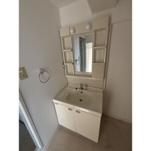 リバティーフォレストの洗面所