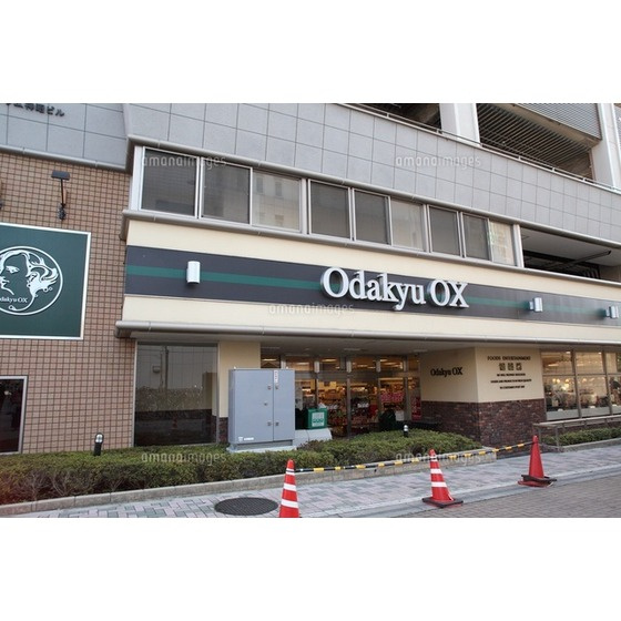 スーパー「OdakyuOX鶴川店まで865ｍ」