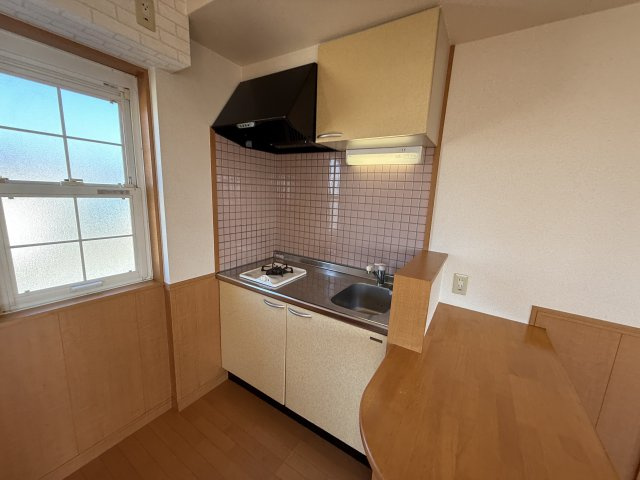 BILLION HILLS263のキッチン