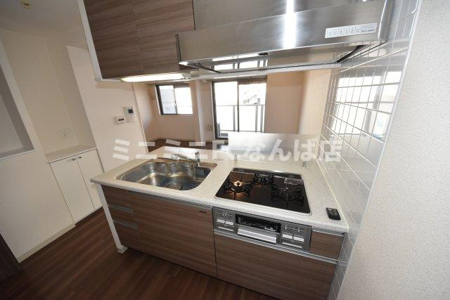 プレサンス中之島公園アティレのキッチン|色は現状有姿です