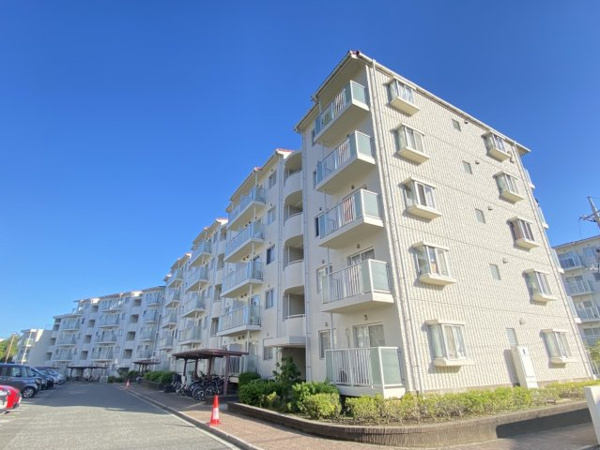 志津グリーンハイツ２号棟の画像