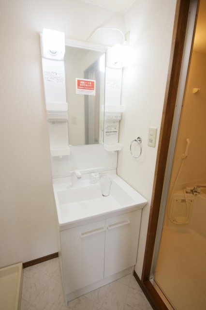 グリーンハイツ瑞穂の独立洗面台