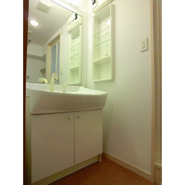 ウエストビレッジ大橋の洗面所