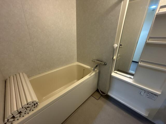 プレシオス藤が丘の浴室