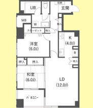 カブラキィノの画像