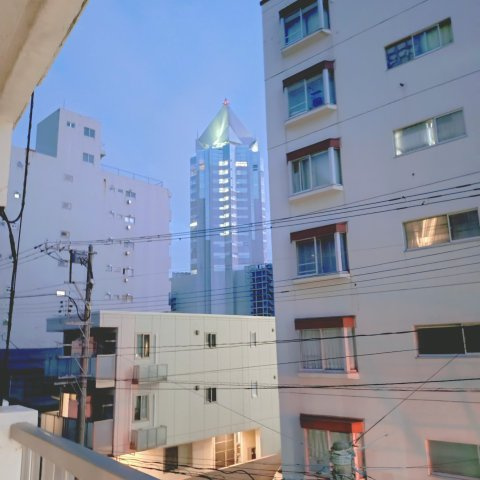 チサンマンション南浜の展望