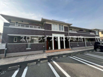 ブライトシャインの画像