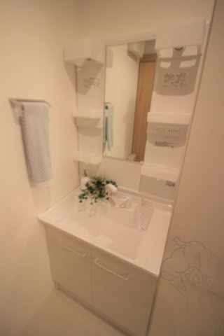 LuXe本庄東の洗面所
