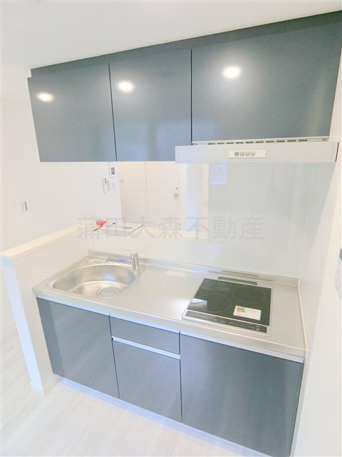 ベルリード西蒲田のキッチン|2口IHシステムキッチン