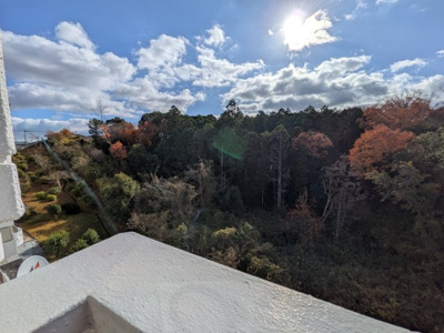  | エクセルハイツ第二学園前